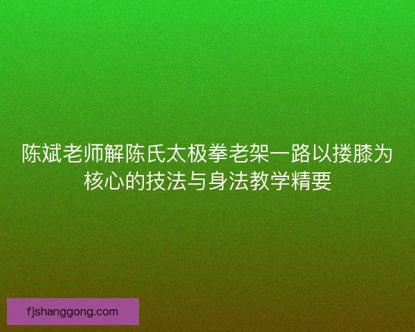 陈斌老师解陈氏太极拳老架一路以搂膝为核心的技法与身法教学精要